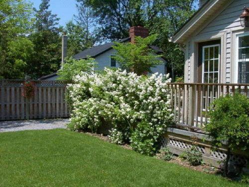 Antique Slumber Old Town Bed & Breakfast Niagara-on-the-Lake Exterior foto